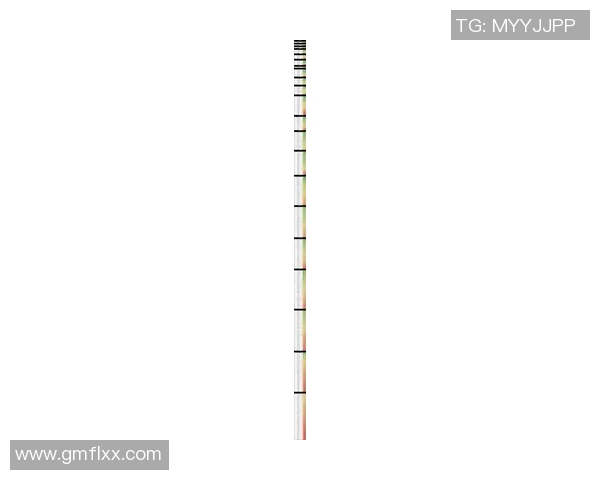 2025年足球年度最佳球星排名前十名揭晓，各路球员谁将问鼎荣誉巅峰
