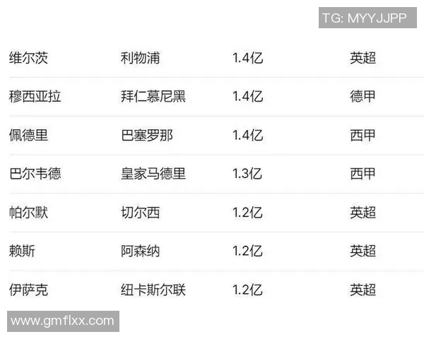 全球足坛转会费前十大球星盘点 超级巨星身价引爆转会市场 全球足坛转会费前十大球星盘点 超级巨星身价引爆转会市场
