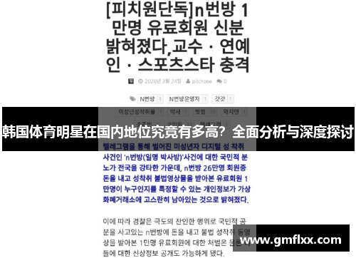 韩国体育明星在国内地位究竟有多高？全面分析与深度探讨