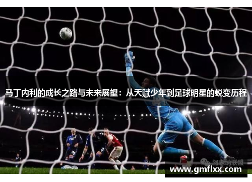 马丁内利的成长之路与未来展望:从天赋少年到足球明星的蜕变历程